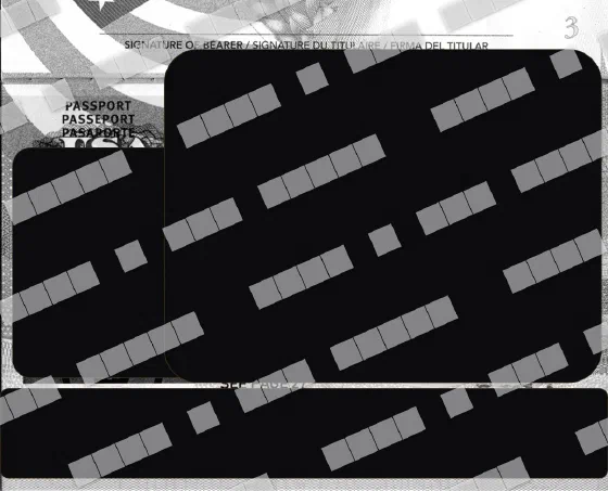 Anonymized copy: black and white, all fields hidden, watermarked