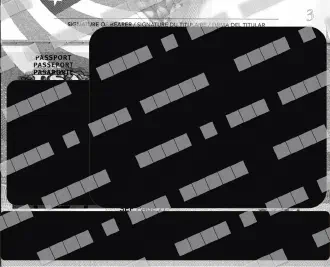Anonymized copy: black and white, all fields hidden, watermarked
