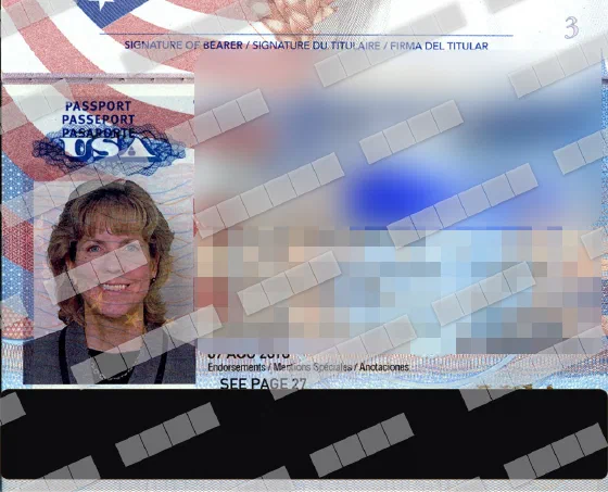 Anonymized copy with Pro: blur and partial redaction in colour
